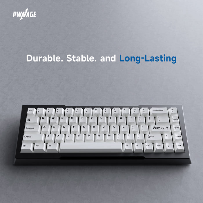 Ceramic Keycap Set - Pwnage