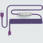 Aviator Coiled USB C Cable - Pwnage