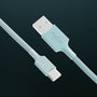 Aviator Coiled USB C Cable - Pwnage
