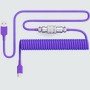 Aviator Coiled USB C Cable - Pwnage