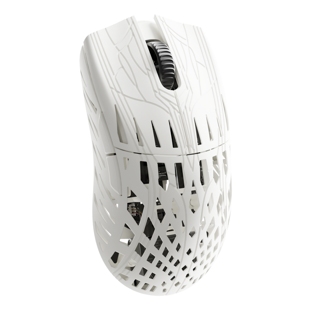 White / Cutout