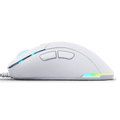 Ultra Custom Ergo Gaming Mouse